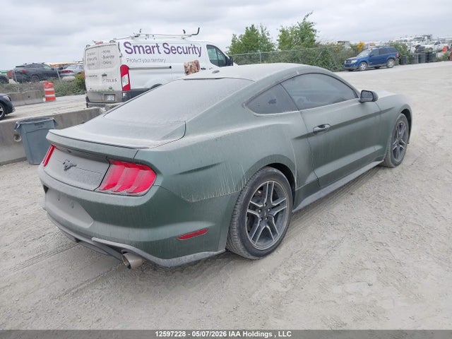 12597228 :رقم المزاد ، 1FA6P8TH5K5164491 vin ، 2019 Ford Mustang مزاد بيع