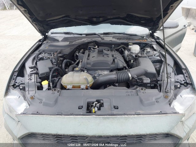 12597228 :رقم المزاد ، 1FA6P8TH5K5164491 vin ، 2019 Ford Mustang مزاد بيع