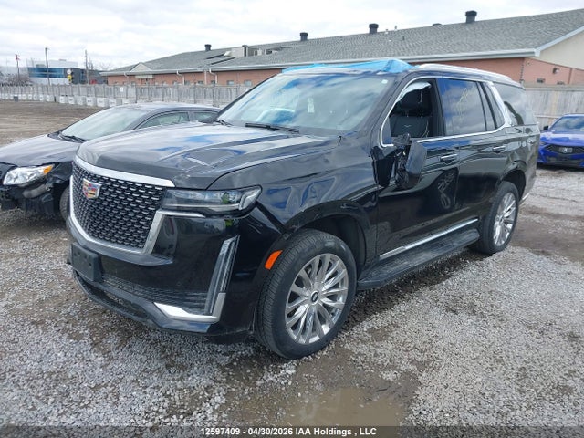 Aukcja sprzedaży 2024 Cadillac Escalade Premium Luxury, vin: 1GYS4BKTXRR150278, numer aukcji: 12597409