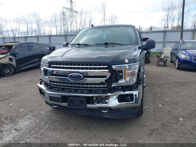 Продажа на аукционе авто 2019 Ford F-150 Xlt, vin: 1FTEW1EP3KFD05797, номер лота: 12597411