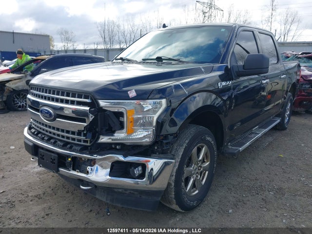 Продажа на аукционе авто 2019 Ford F-150 Xlt, vin: 1FTEW1EP3KFD05797, номер лота: 12597411