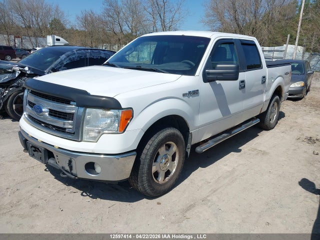 Продажа на аукционе авто 2014 Ford F-150 Xlt, vin: 1FTFW1EF6EKF97775, номер лота: 12597414
