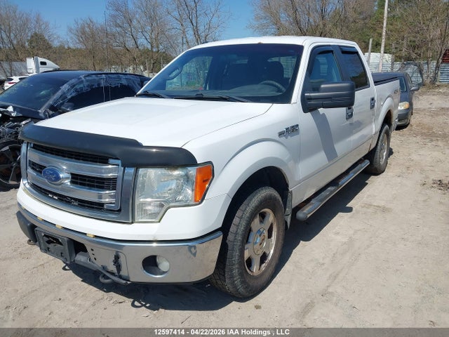 Продажа на аукционе авто 2014 Ford F-150 Xlt, vin: 1FTFW1EF6EKF97775, номер лота: 12597414
