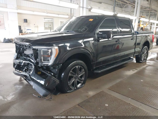 Продаж на аукціоні авто 2023 Ford F-150 Lariat, vin: 1FTFW1E81PKF39092, номер лоту: 12483349