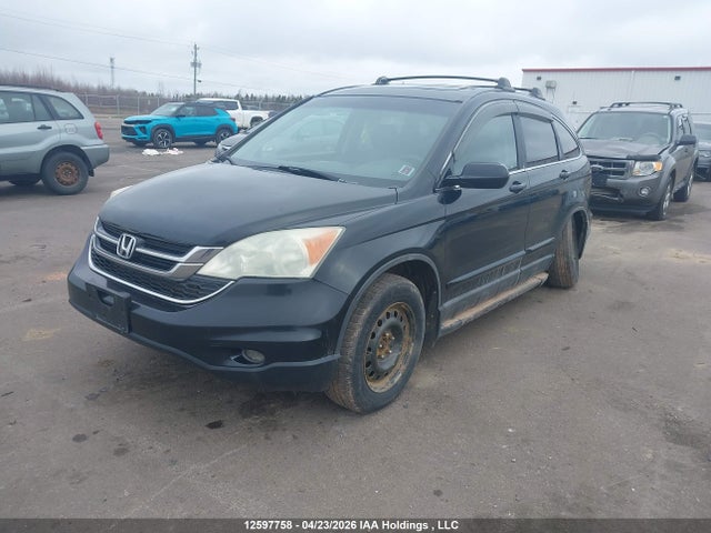 Aukcja sprzedaży 2010 Honda Cr-v Exl, vin: 5J6RE4H77AL800063, numer aukcji: 12597758