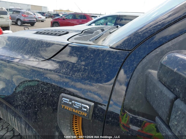 2024 Ford F150 მანქანა იყიდება აუქციონზე, vin: 1FTFW4L50RFB63037, აუქციონის ნომერი: 12597845