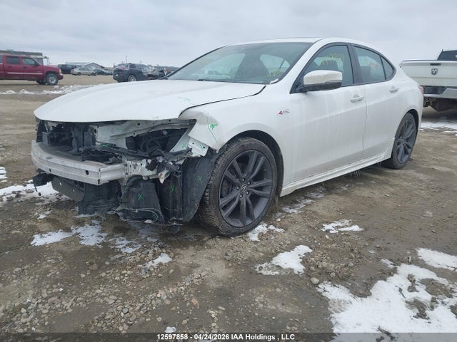 19UUB1F66LA800833 Acura Tlx Tech A-spec
