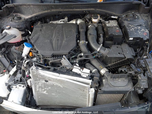 Продаж на аукціоні авто 2025 Hyundai Santa Fe, vin: 5NMP3DGL7SH111841, номер лоту: 12597859