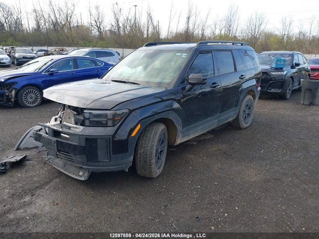 Продаж на аукціоні авто 2025 Hyundai Santa Fe, vin: 5NMP3DGL7SH111841, номер лоту: 12597859