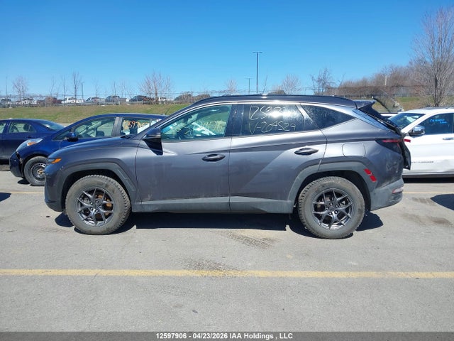 2024 Hyundai Tucson Ultimate Plug-in Hybrid Awd მანქანა იყიდება აუქციონზე, vin: KM8JDDD23RU204529, აუქციონის ნომერი: 12597906