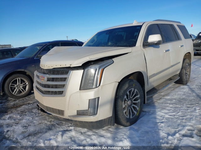 Aukcja sprzedaży 2015 Cadillac Escalade Luxury, vin: 1GYS4MKJ7FR704141, numer aukcji: 12559658