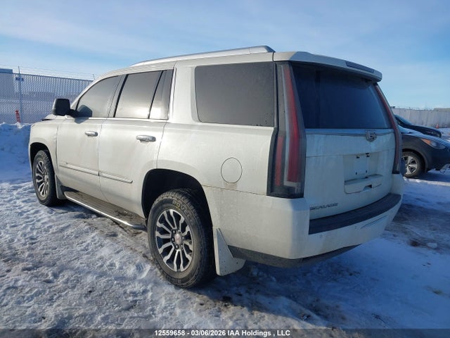 Aukcja sprzedaży 2015 Cadillac Escalade Luxury, vin: 1GYS4MKJ7FR704141, numer aukcji: 12559658