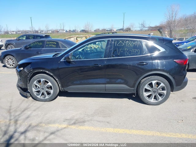 Aukcja sprzedaży 2025 Ford Escape Platinum, vin: 1FMCU9JA0SUB05951, numer aukcji: 12598041