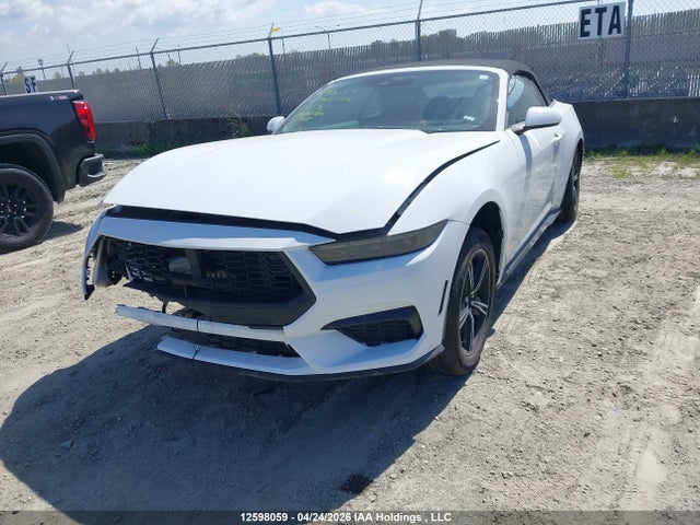 12598059 :رقم المزاد ، 1FAGP8UH4S5115401 vin ، 2025 Ford Mustang Ecoboost Premium مزاد بيع