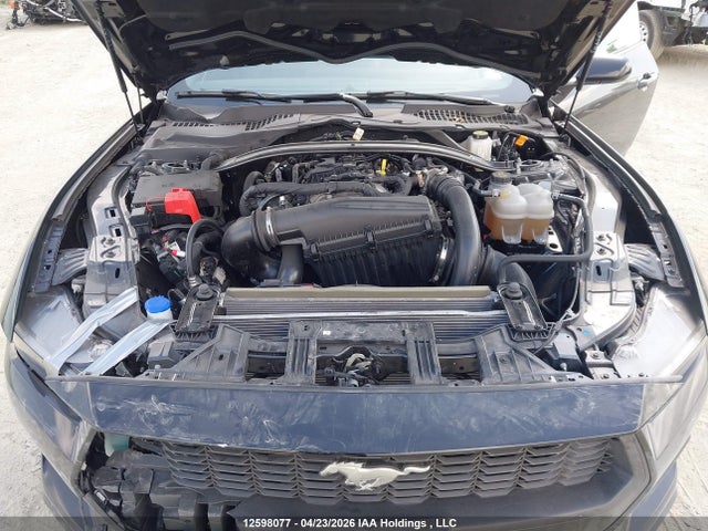 Продаж на аукціоні авто 2025 Ford Mustang, vin: 1FAGP8UH9S5119699, номер лоту: 12598077