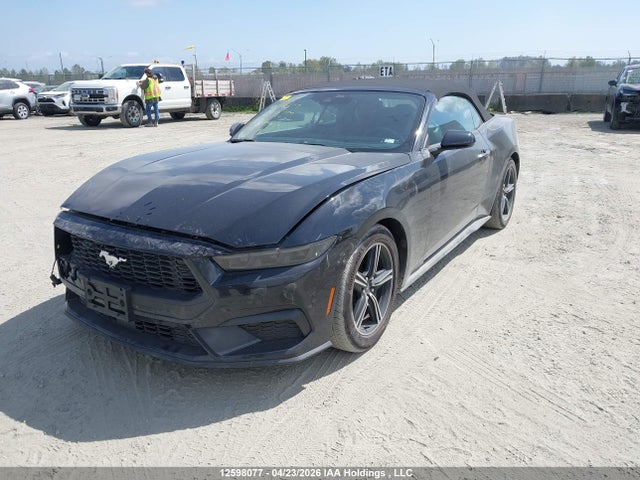 Продаж на аукціоні авто 2025 Ford Mustang, vin: 1FAGP8UH9S5119699, номер лоту: 12598077