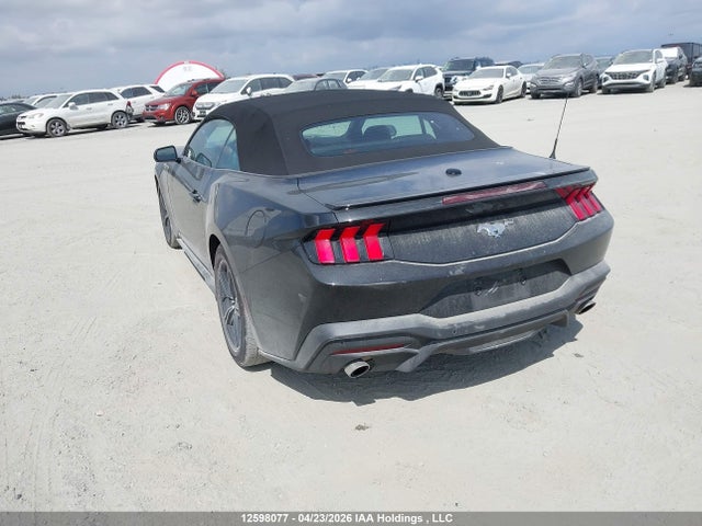 Продаж на аукціоні авто 2025 Ford Mustang, vin: 1FAGP8UH9S5119699, номер лоту: 12598077