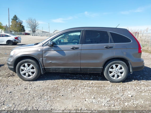 Продаж на аукціоні авто 2010 Honda Cr-v Lx, vin: 5J6RE4H32AL800436, номер лоту: 12598090