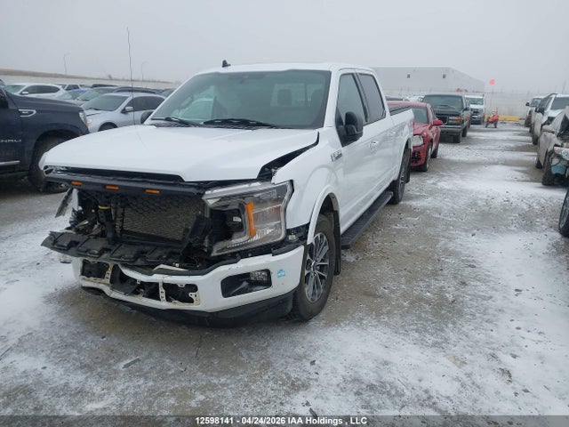 12598141 :رقم المزاد ، 1FTEW1C40LKD69720 vin ، 2020 Ford F150 Supercrew مزاد بيع