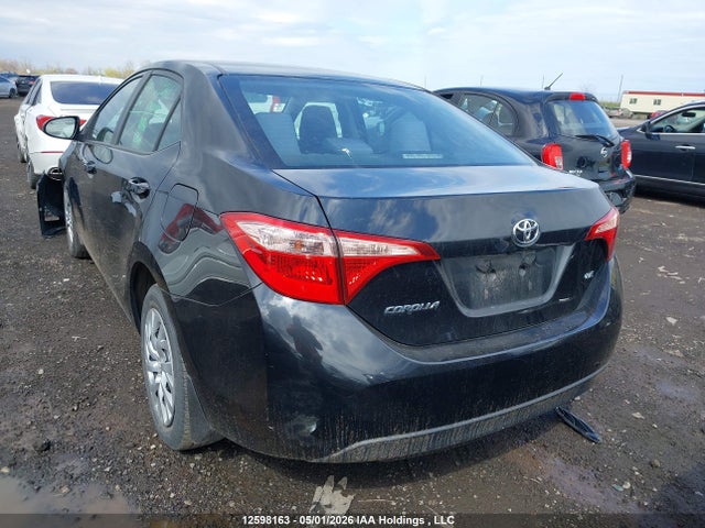 2T1BURHE7KC133896 Toyota Corolla L/le/xle/se/xse
