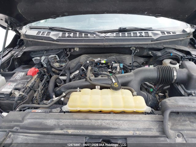 Продажа на аукционе авто 2019 Ford F-150 Lariat, vin: 1FTEW1EP9KFB86525, номер лота: 12575897