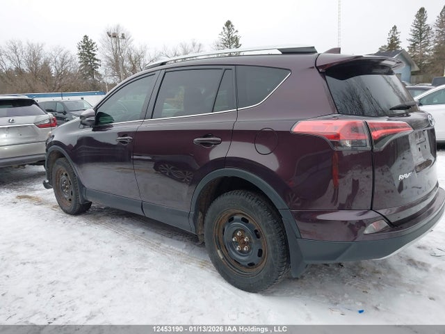2016 Toyota Rav4 Xle მანქანა იყიდება აუქციონზე, vin: 2T3RFREV5GW431373, აუქციონის ნომერი: 12453190