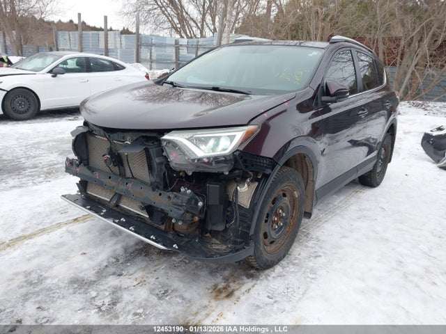 2016 Toyota Rav4 Xle მანქანა იყიდება აუქციონზე, vin: 2T3RFREV5GW431373, აუქციონის ნომერი: 12453190