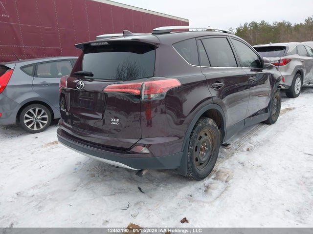 2016 Toyota Rav4 Xle მანქანა იყიდება აუქციონზე, vin: 2T3RFREV5GW431373, აუქციონის ნომერი: 12453190