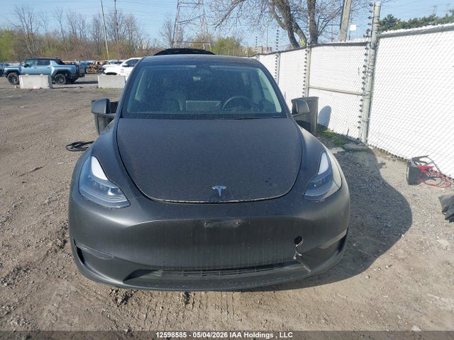 Продаж на аукціоні авто 2021 Tesla Model Y Performance, vin: 5YJYGDEF0MF194989, номер лоту: 12598585
