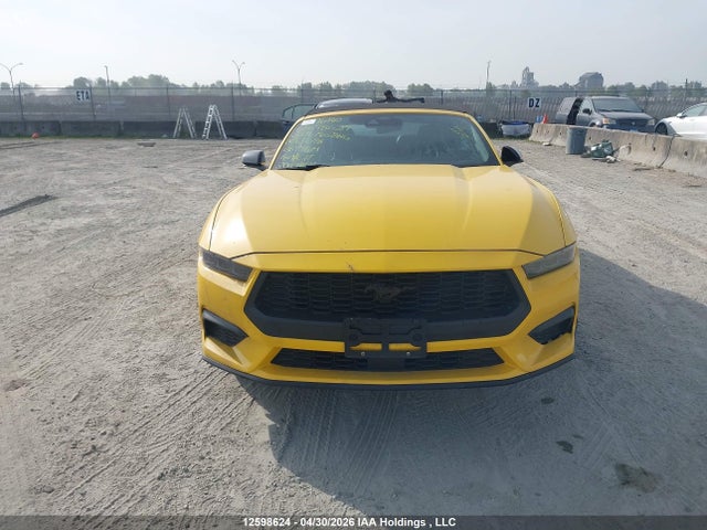 Продажа на аукционе авто 2024 Ford Mustang, vin: 1FAGP8UH5R5124098, номер лота: 12598624