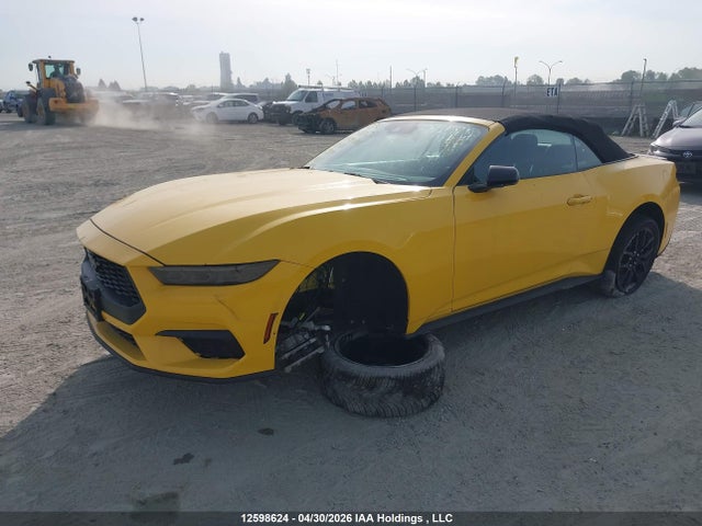 Продажа на аукционе авто 2024 Ford Mustang, vin: 1FAGP8UH5R5124098, номер лота: 12598624