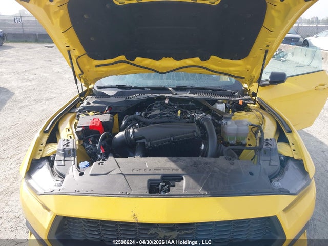 Продажа на аукционе авто 2024 Ford Mustang, vin: 1FAGP8UH5R5124098, номер лота: 12598624