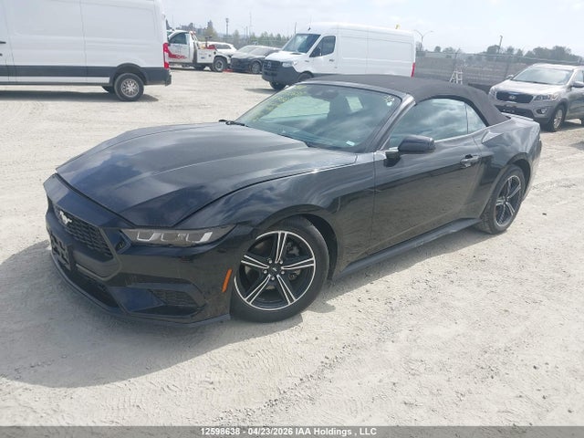 1FAGP8UH6R5126202 Ford Mustang