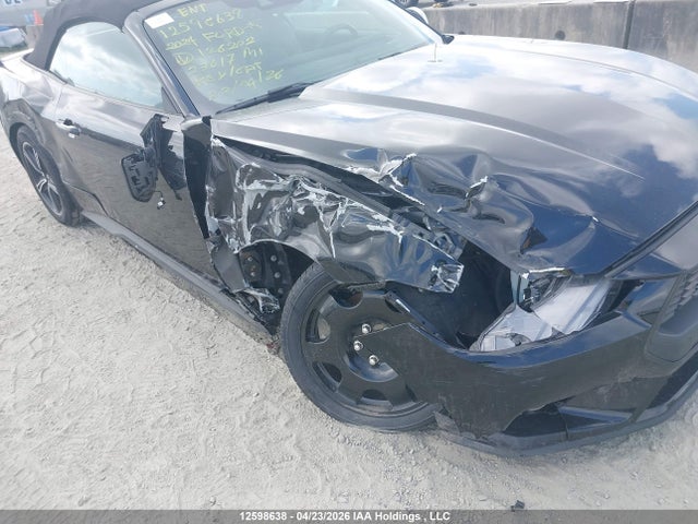1FAGP8UH6R5126202 Ford Mustang