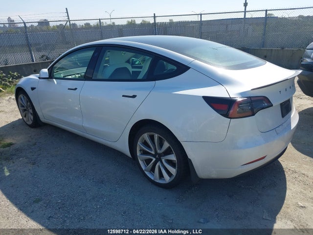 Tesla MODEL 3 2023 5YJ3E1EAXPF507294 Image 3
