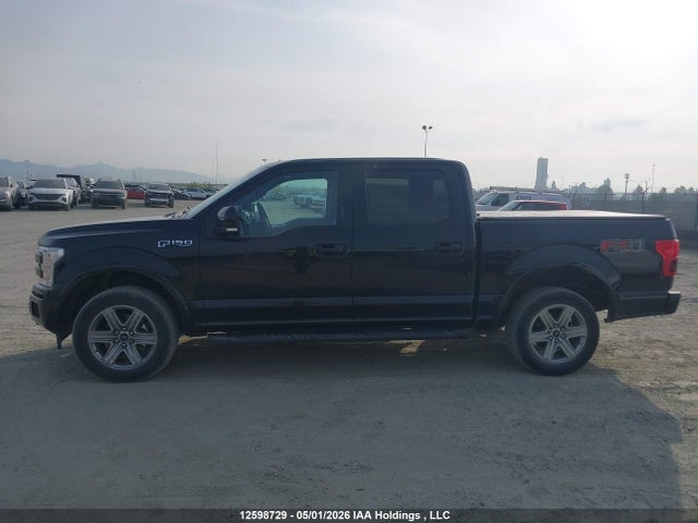 1FTEW1E46KKD01496 Ford F150 Supercrew