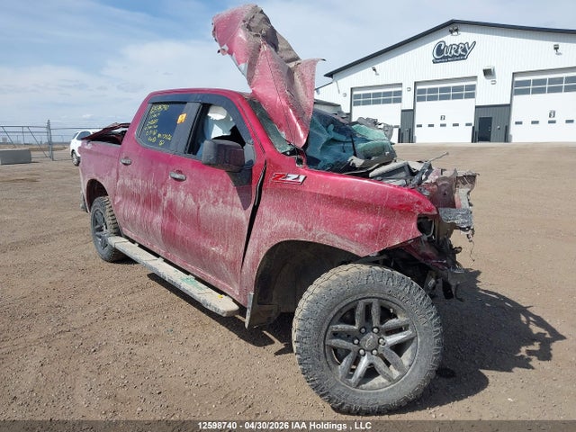 12598740 :رقم المزاد ، 1GCPYCEFXKZ242685 vin ، 2019 Chevrolet Silverado K1500 Trail Boss Custom مزاد بيع