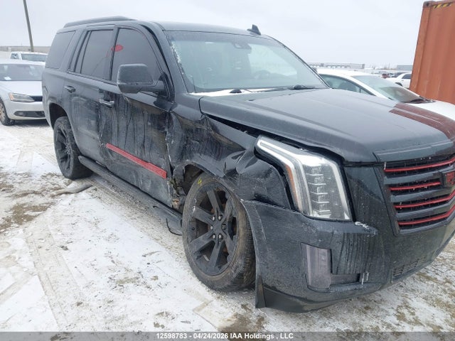 Cadillac Escalade Platinum 2016 1GYS4DKJ3GR135001 Image 6