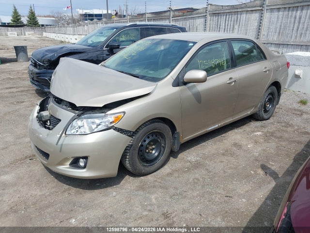 2009 Toyota Corolla S/le/xle მანქანა იყიდება აუქციონზე, vin: 2T1BU40E19C075552, აუქციონის ნომერი: 12598796