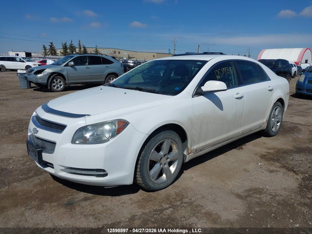 Auction sale of the 2010 Chevrolet Malibu Lt Platinum Edition, vin: 1G1ZD5E03A4124655, lot number: 12598897
