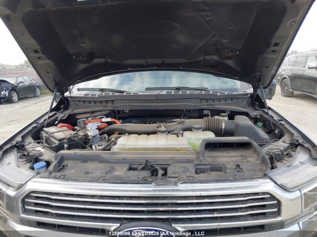 Aukcja sprzedaży 2024 Ford F150 Platinum, vin: 1FTFW7LD1RFB66862, numer aukcji: 12599096