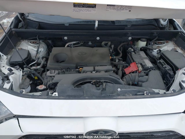 2021 Toyota Rav4 Le მანქანა იყიდება აუქციონზე, vin: 2T3B1RFV5MC161685, აუქციონის ნომერი: 12547542
