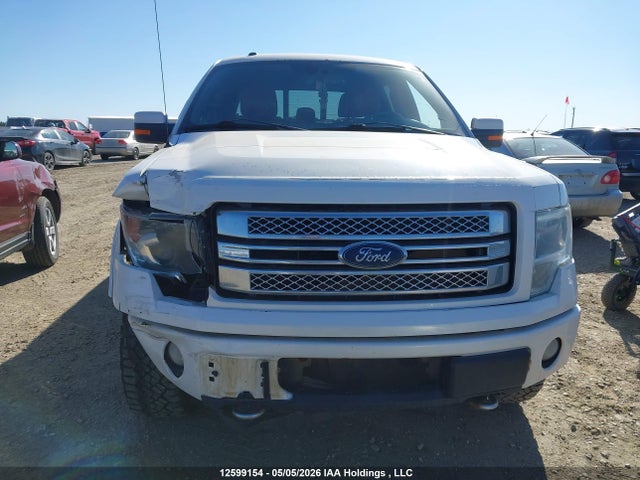 Продаж на аукціоні авто 2013 Ford F150 Supercrew, vin: 1FTFW1E63DFD13784, номер лоту: 12599154