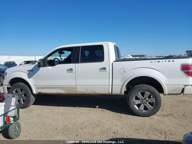 Продаж на аукціоні авто 2013 Ford F150 Supercrew, vin: 1FTFW1E63DFD13784, номер лоту: 12599154