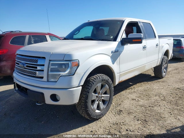 Продаж на аукціоні авто 2013 Ford F150 Supercrew, vin: 1FTFW1E63DFD13784, номер лоту: 12599154