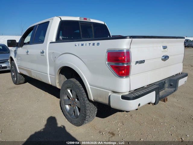 Продаж на аукціоні авто 2013 Ford F150 Supercrew, vin: 1FTFW1E63DFD13784, номер лоту: 12599154