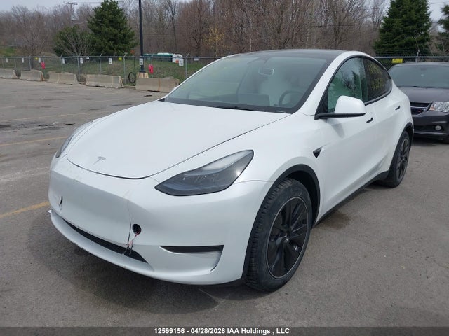 Tesla Model Y Rwd 2023 LRWYGDFD5PC225892 Image 2