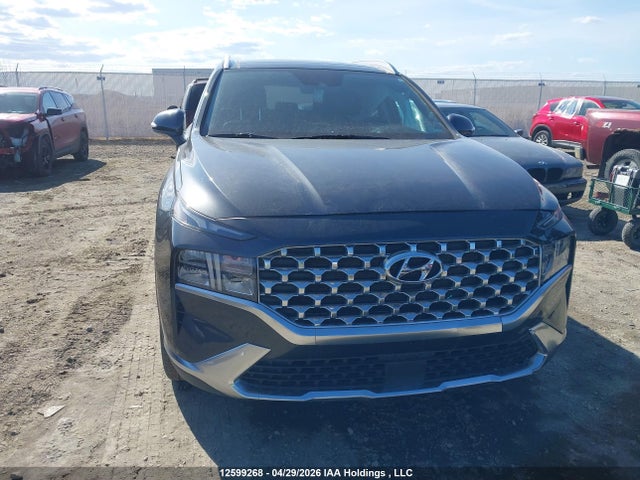 2023 Hyundai Santa Fe Sel Premium მანქანა იყიდება აუქციონზე, vin: 5NMS3DAJ1PH525593, აუქციონის ნომერი: 12599268