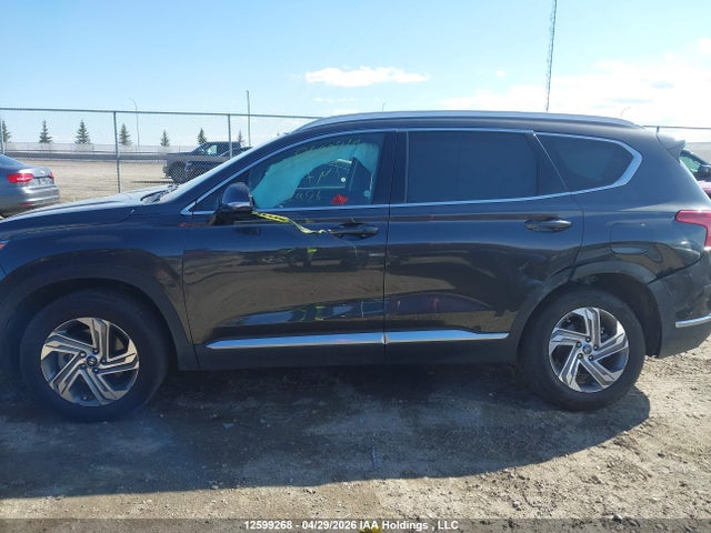 2023 Hyundai Santa Fe Sel Premium მანქანა იყიდება აუქციონზე, vin: 5NMS3DAJ1PH525593, აუქციონის ნომერი: 12599268