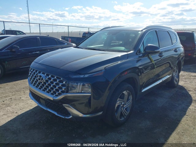 2023 Hyundai Santa Fe Sel Premium მანქანა იყიდება აუქციონზე, vin: 5NMS3DAJ1PH525593, აუქციონის ნომერი: 12599268